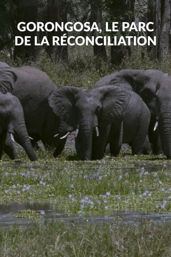 Gorongosa, le parc de la réconciliation poster