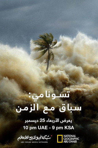 Tsunami: Race Against Time — Posters 22