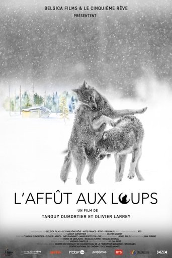 L'Affût aux loups en streaming 