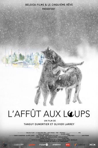 L'Affût aux loups (2024)