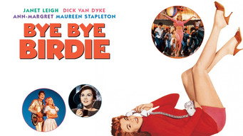 #17 Bye Bye Birdie
