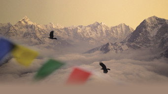 #4 Sherpa