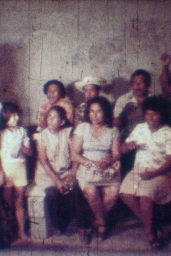 The Petitioner (Exercise #1) poster