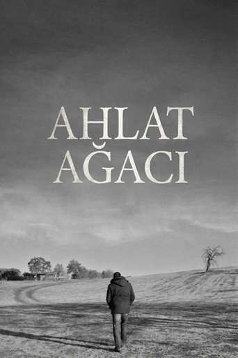 Poster 3