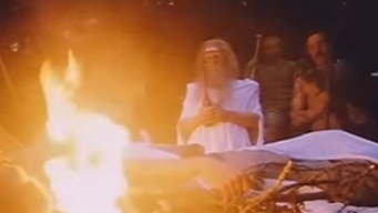 From the Old Earth (1981)