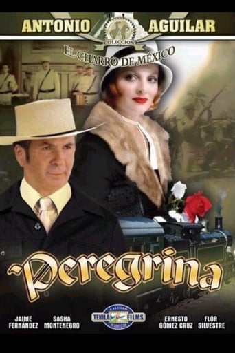 Poster of Peregrina