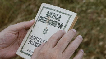 #4 Estos Muros