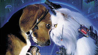 Cats & Dogs backdrop 2