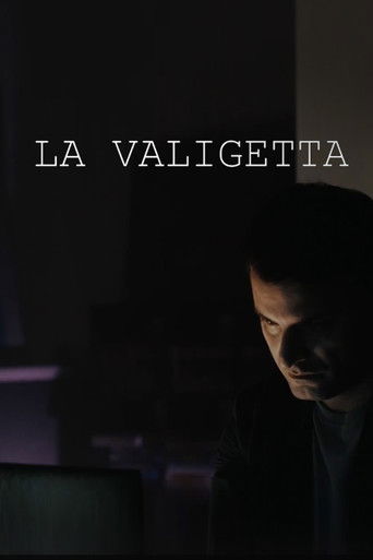 The Briefcase poster