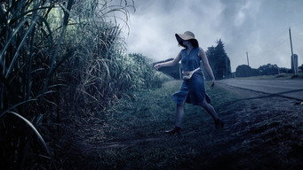 In the Tall Grass backdrop 3