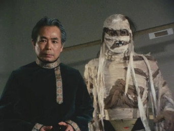 Kamen Rider T6E29