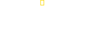 Hitler Youth logo