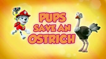 Pups Save an Ostrich