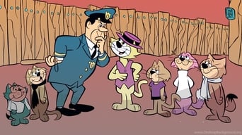 #1 Top Cat