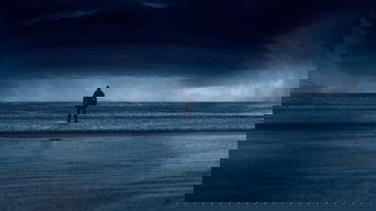 Galeria 5 - Anémona