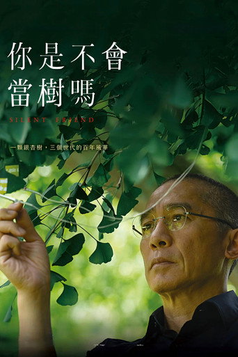 寂静的朋友