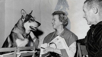 The Littlest Hobo (1963-1965)
