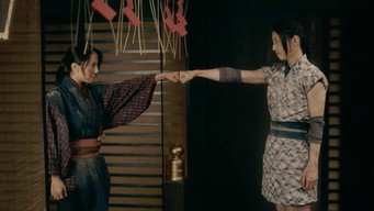 Ninja Wars - Black Fox vs Shogun's Ninja (2026)