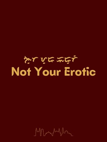 Not Your Erotic poster
