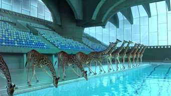 5 meters 80 (2012)