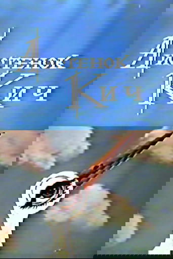 The Little Stork Kich