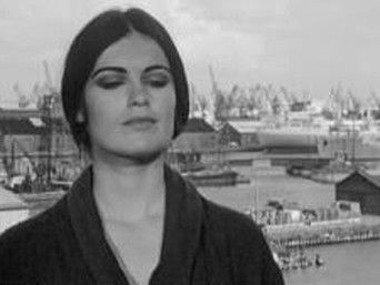 Episode 49 — Episode 49