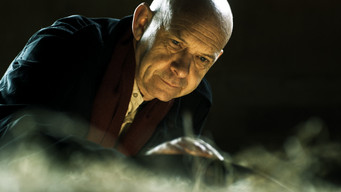 A Vampire's Tale (2009)