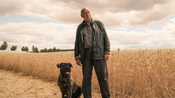Unterleuten: The Torn Village (2019-2020)