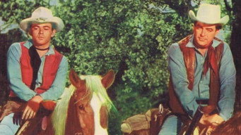 The Gun Hawk (1963)