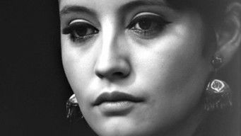 Episode 11 — The Old Man with the Mechanical Pencil