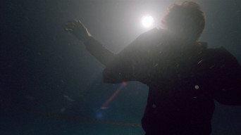 Still 6 from Knight of Cups