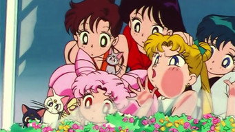Sailor Moon backdrop 9