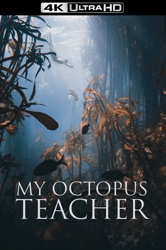 My Octopus Teacher image