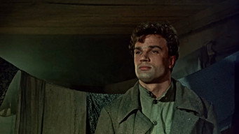 The Communist (1958)