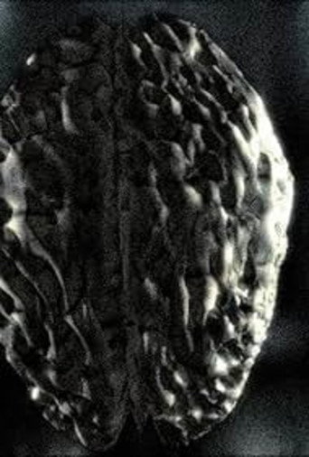 Headcleaner (1999)