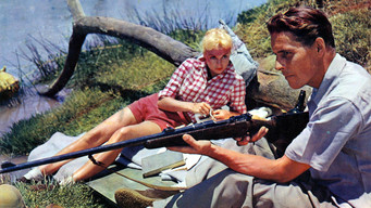 #5 Safari