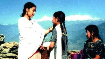 Numafung (2001)