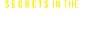 Secrets in the Marriage logo