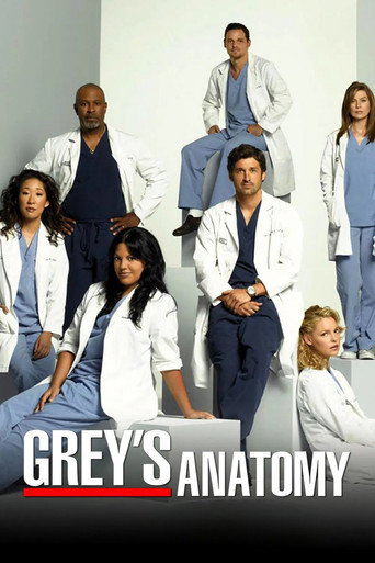 Grey's Anatomy - S4 - Poster