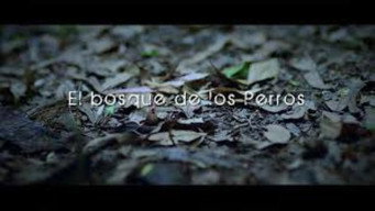 El Bosque de los Perros (2019)