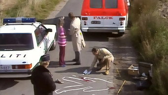 Rejseholdet (1983- )