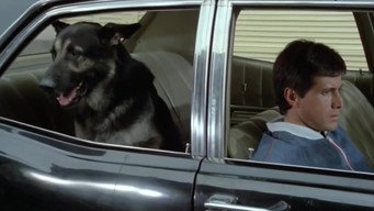 The Birthday of the Dog (1975)