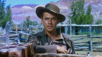 #10 The Desperadoes
