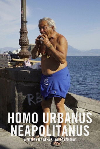 Homo Urbanus Neapolitanus poster