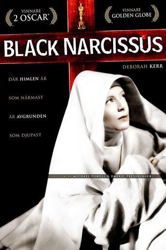 Poster för Svart narcissus