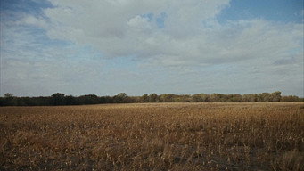 #40 Бонні і Клайд