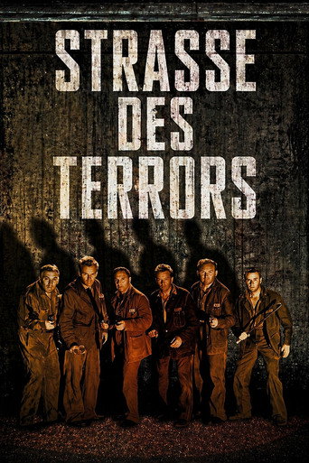 Poster 6