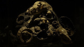 The Furnace