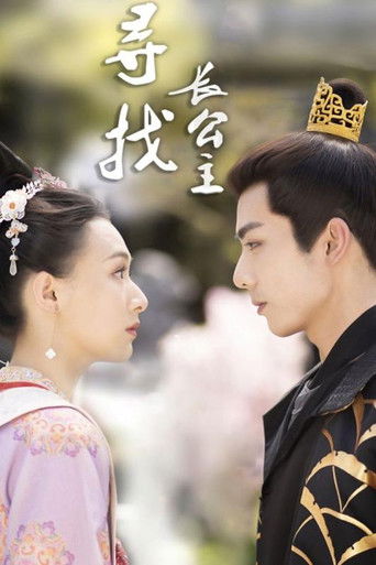 寻找长公主 poster