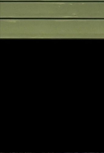 nach den Bildern . FEININGERs Trio poster